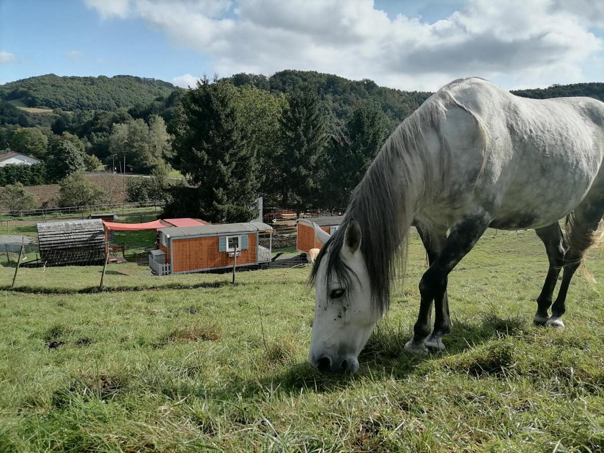 Zuruck Zur Natur - Urlaub Im Zirkuswagen, Sommeratelier Oder Schindelwagen Adenbach Eksteriør bilde