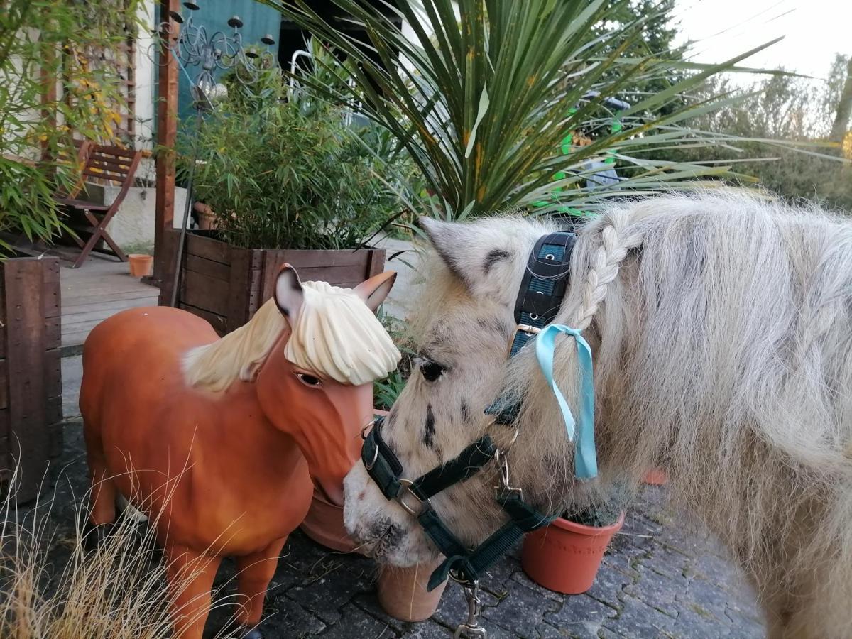 Zuruck Zur Natur - Urlaub Im Zirkuswagen, Sommeratelier Oder Schindelwagen Adenbach Eksteriør bilde